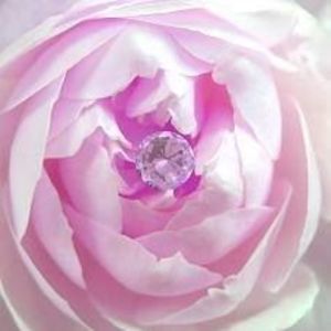 Meet your Posher, Dee